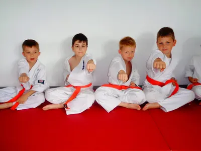 Włocławski Klub Karate Kyokushin